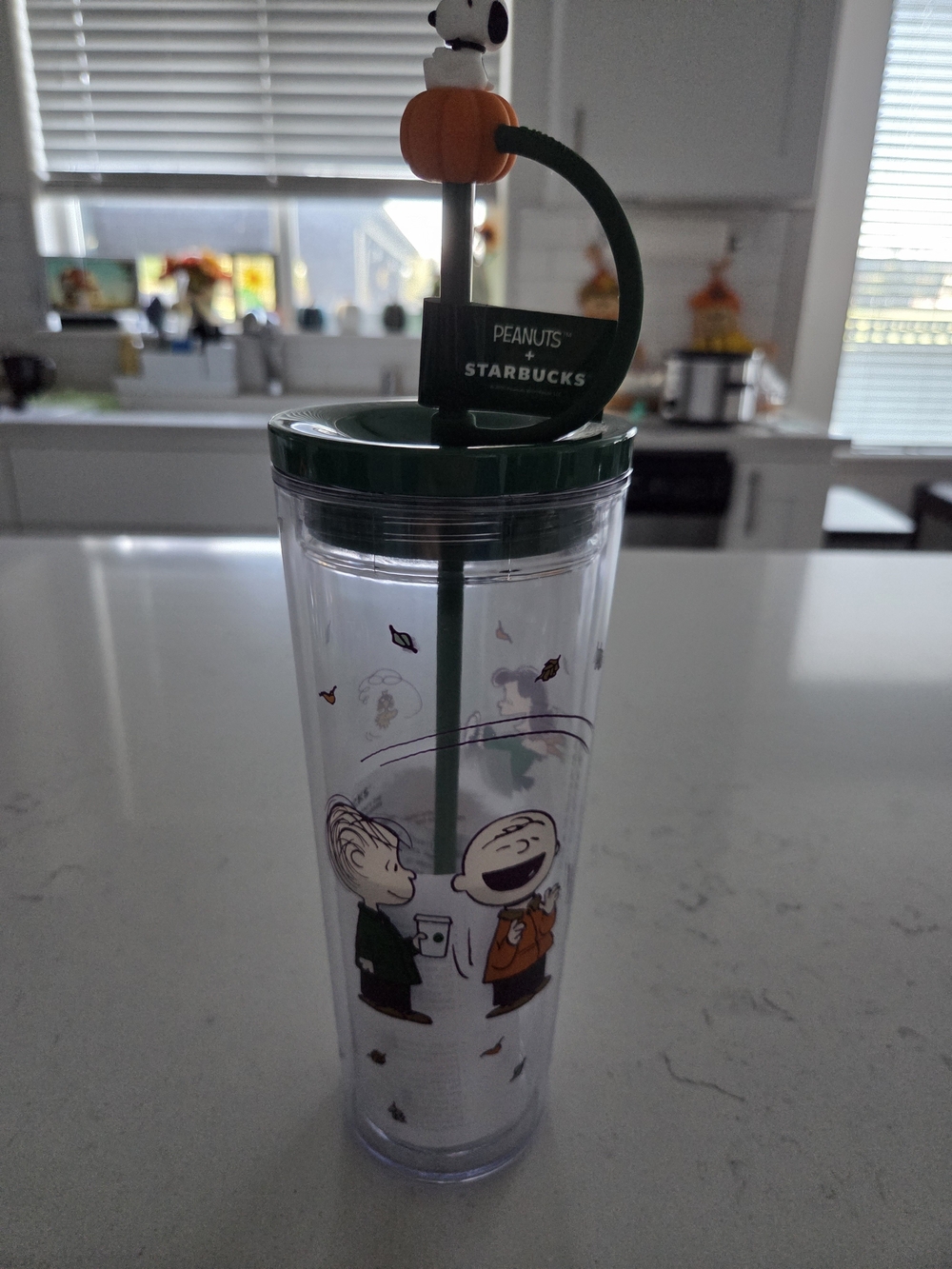 Starbucks Green and Orange Peanuts Snoopy Pumpkin Tumbler